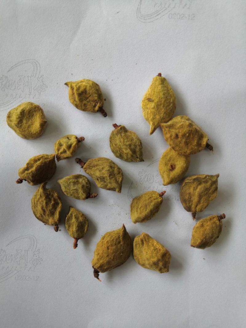 亳州产地直销大货多多瘪桃干碧桃干低价出售