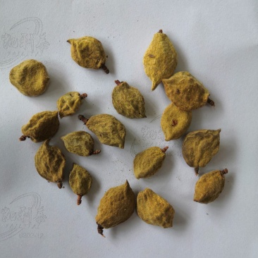 亳州产地直销大货多多瘪桃干碧桃干低价出售