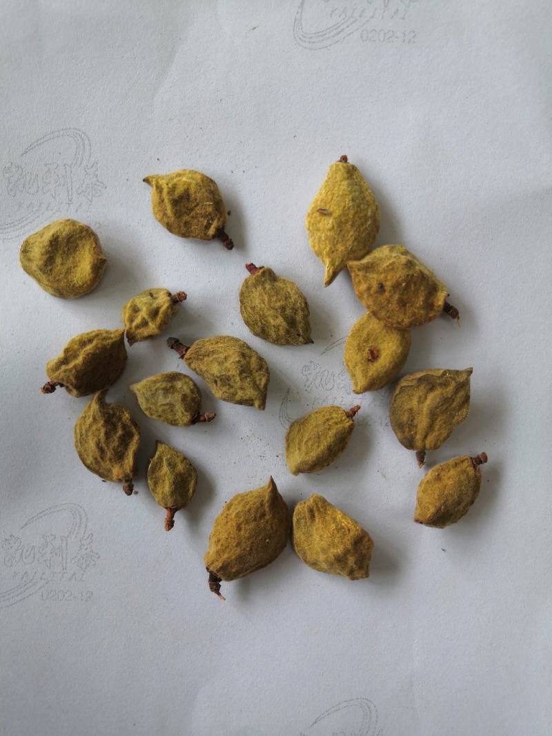 亳州产地直销大货多多瘪桃干碧桃干低价出售