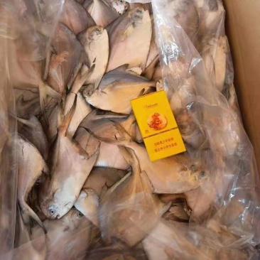 鲳鱼
