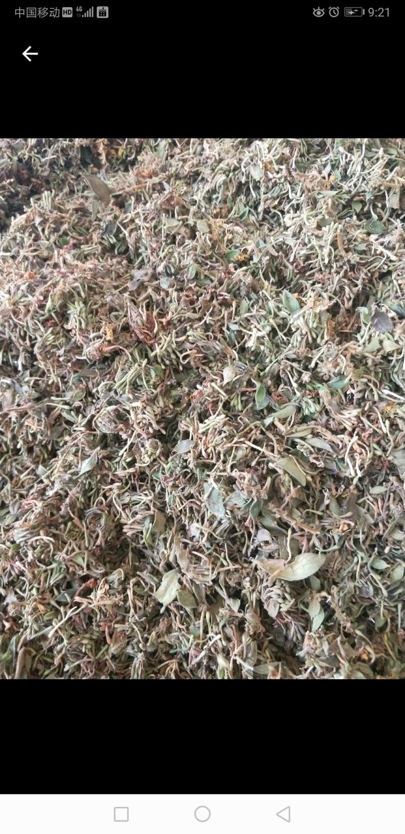 淡竹叶，金银花