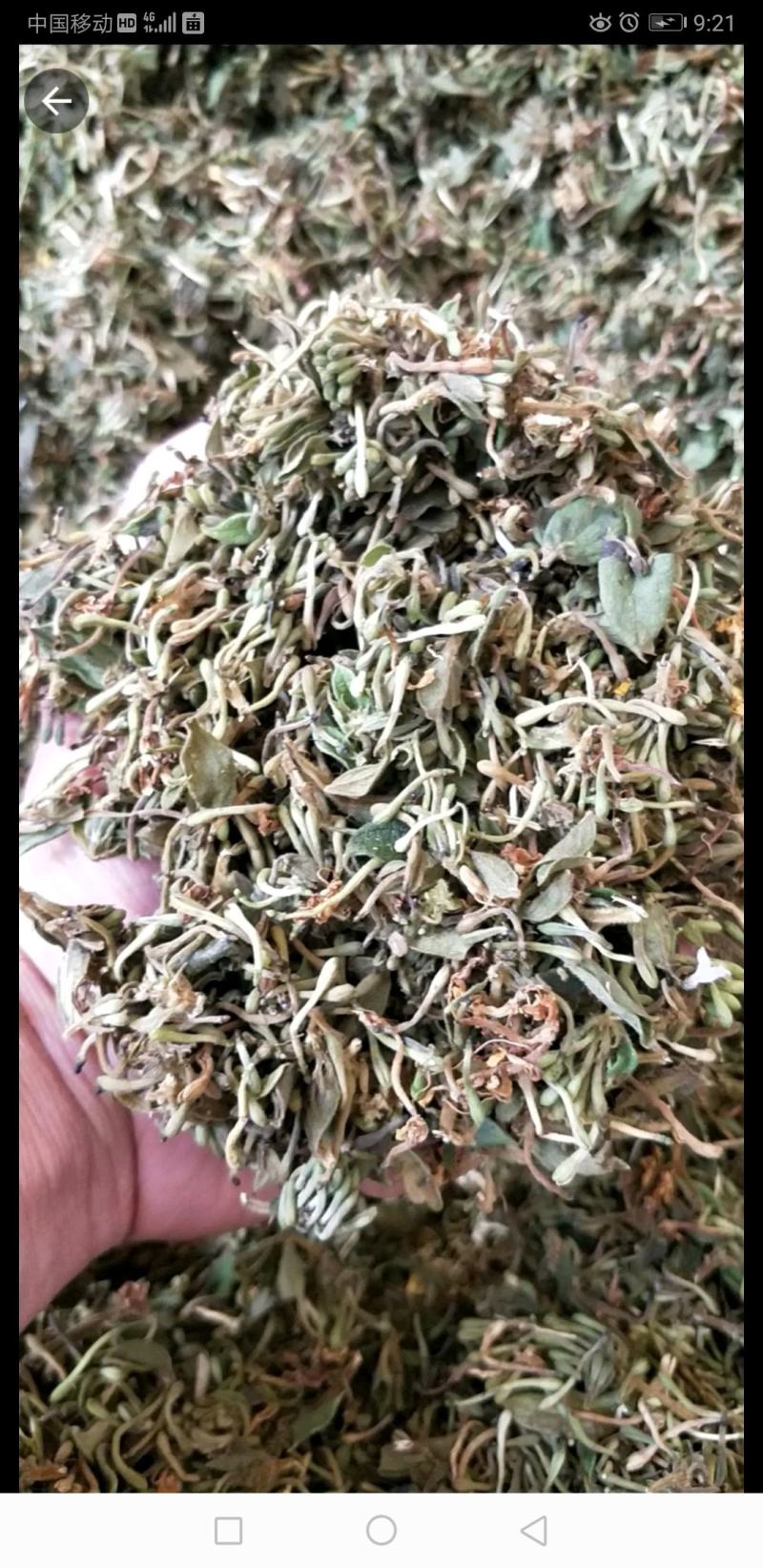 淡竹叶，金银花