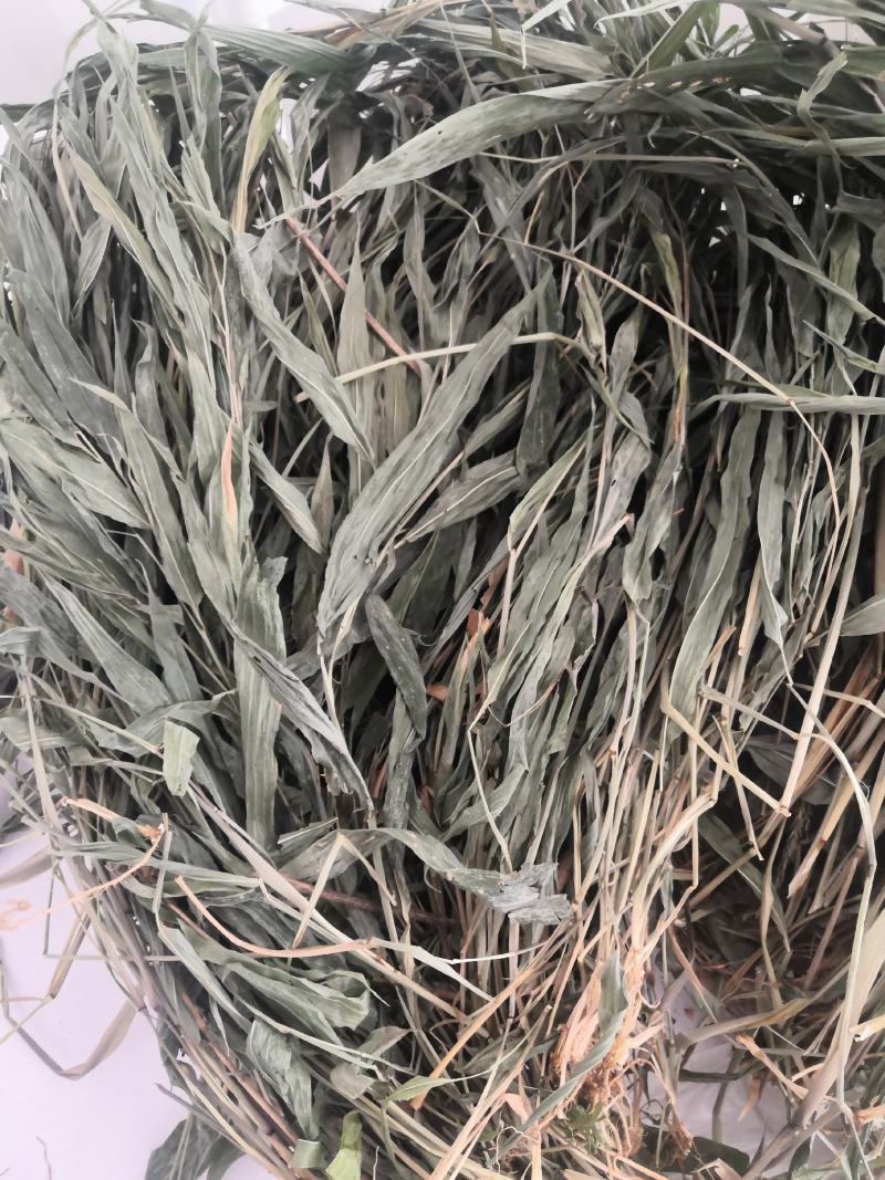 淡竹叶，金银花