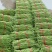汉中精品长豇豆，翠绿无虫眼，产地直销