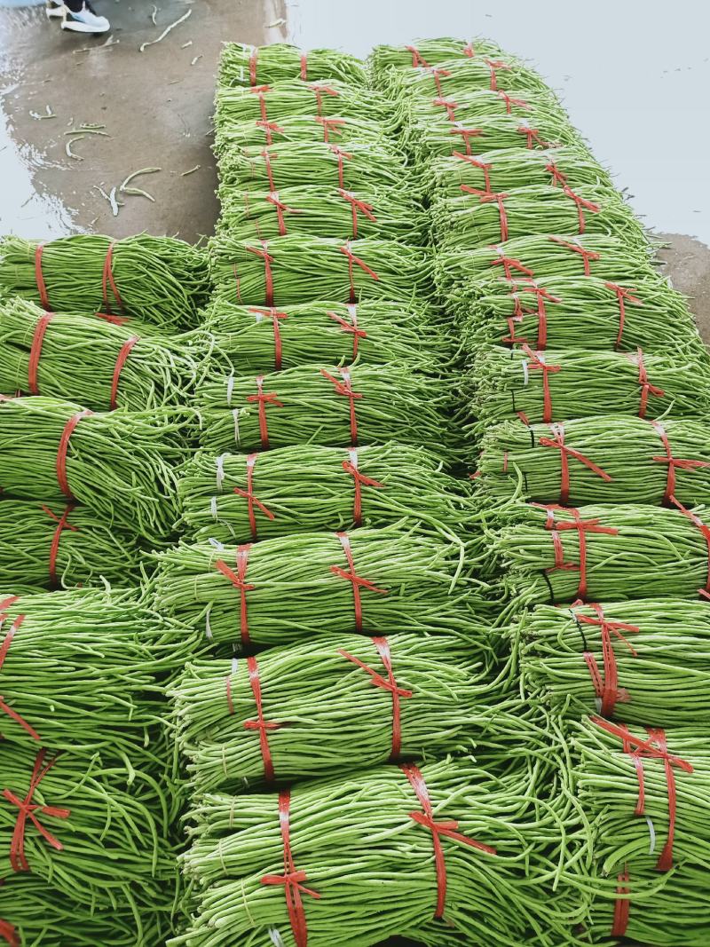 汉中精品长豇豆，翠绿无虫眼，产地直销