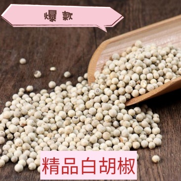 白胡椒（胡椒）粒特白水洗，产地一首货源。基地直供