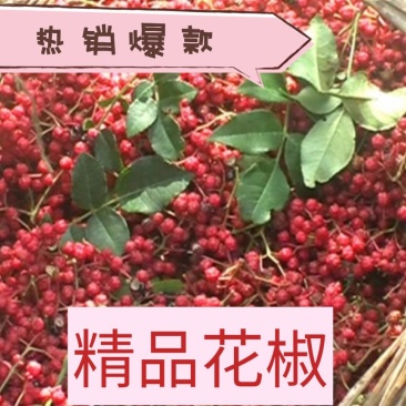 花椒（麻椒）大红袍花椒，产地直销一手货源，麻香味浓。