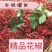 花椒（麻椒）大红袍花椒，产地直销一手货源，麻香味浓。