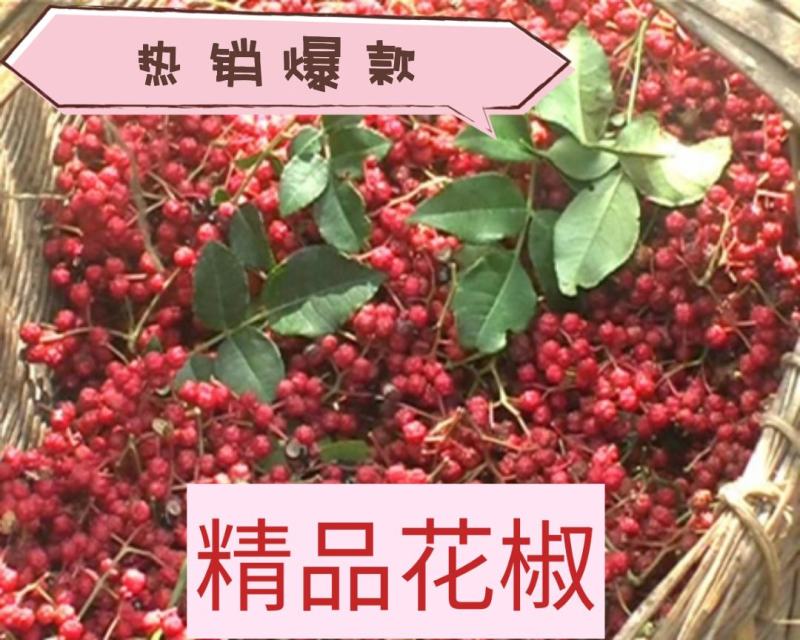 花椒（麻椒）大红袍花椒，产地直销一手货源，麻香味浓。