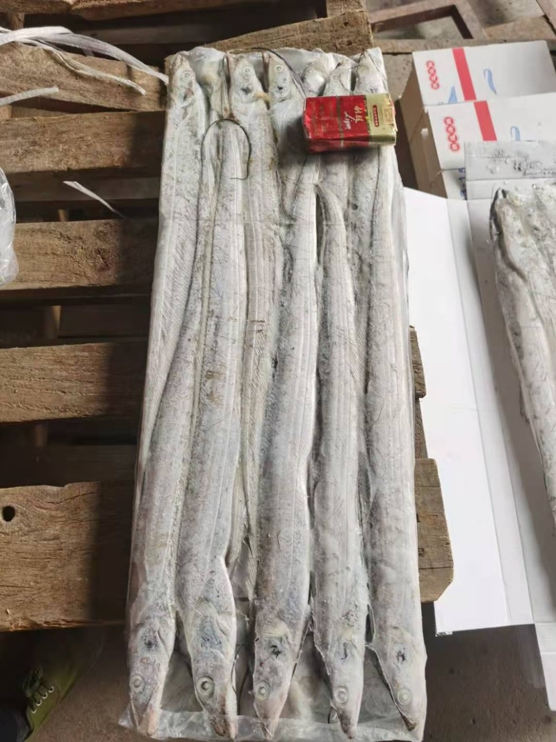 舟山带鱼，精品礼盒，厂家直发，欢迎产地咨询