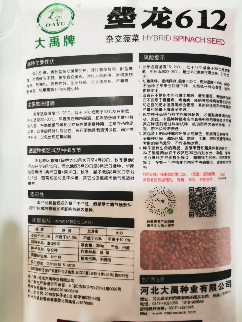 火焰山B耐热夏季菠菜种籽圆叶越夏菠菜种子丹麦菠菜种子