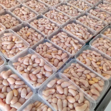 新鲜鸡腰子