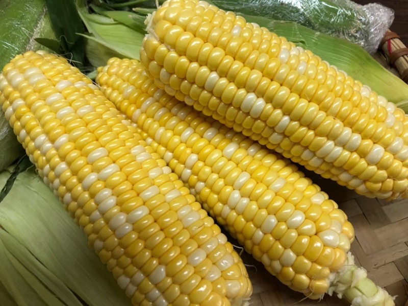云南水果🌽，汁水在嘴巴里爆浆的口感。甜甜的