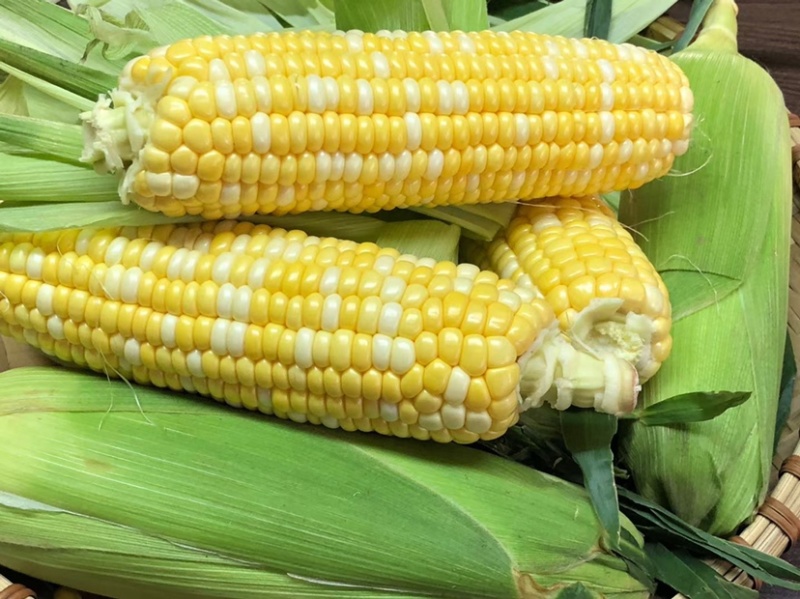 云南水果🌽，汁水在嘴巴里爆浆的口感。甜甜的