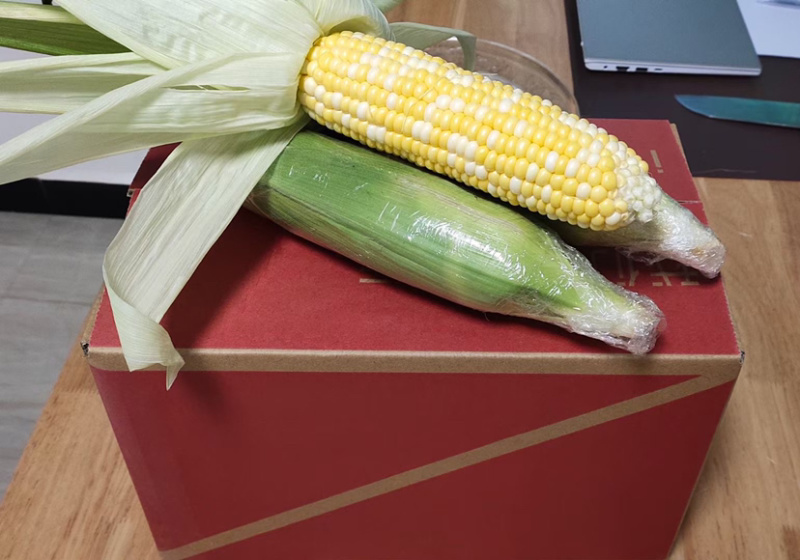 云南水果🌽，汁水在嘴巴里爆浆的口感。甜甜的
