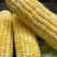 云南水果🌽，汁水在嘴巴里爆浆的口感。甜甜的