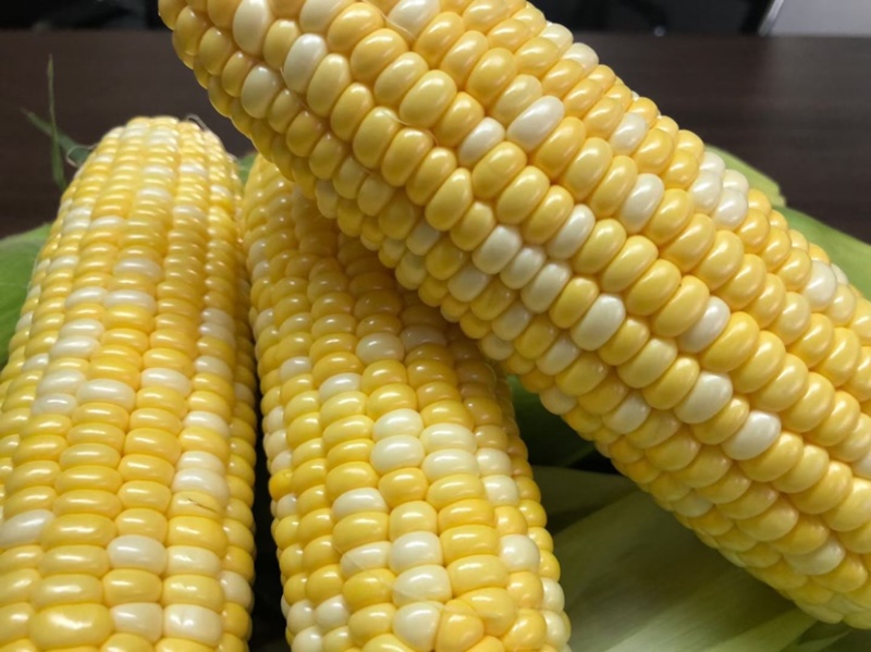 云南水果🌽，汁水在嘴巴里爆浆的口感。甜甜的