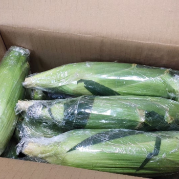 云南水果🌽，汁水在嘴巴里爆浆的口感。甜甜的