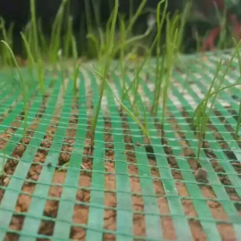 厂家批发边坡绿化植生袋公路护坡植草袋矿山复绿生态网眼植生