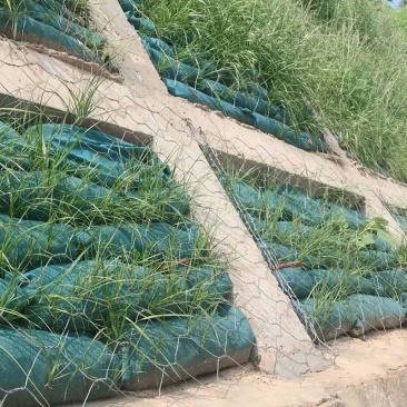 厂家批发边坡绿化植生袋公路护坡植草袋矿山复绿生态网眼植生