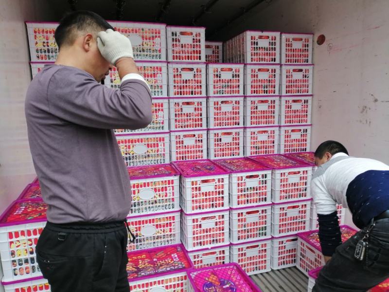 爱媛38果冻橙，味道独特，果皮漂亮，产地直销