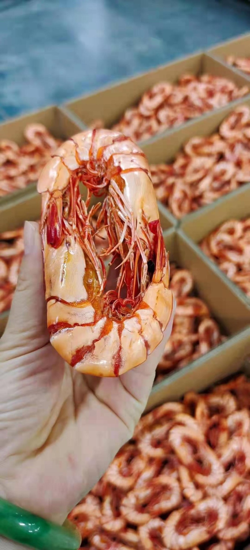 九节虾干超大斑节虾干虾干批发
