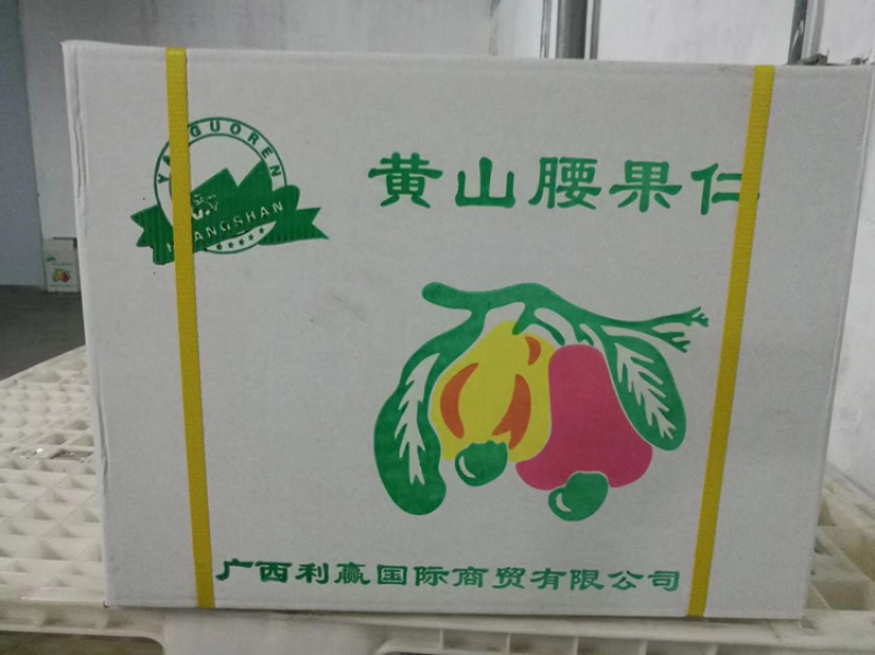 黄山一号A180腰果仁