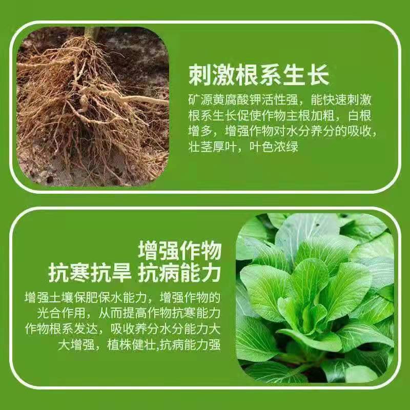 （矿源黄腐酸钾）源沃肥业邯郸市源沃肥业科技有限公司