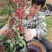 今年花椒丰产价格美丽欢迎釆购