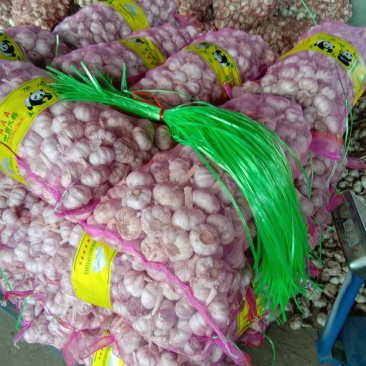 河南大蒜、混级蒜、早熟蒜，品质优良，货量充足，欢迎采购。