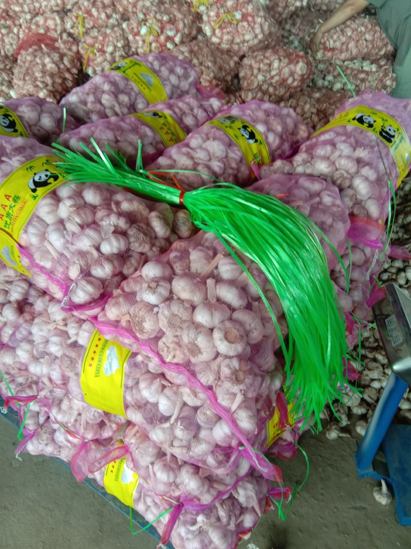 河南大蒜、混级蒜、早熟蒜，品质优良，货量充足，欢迎采购。