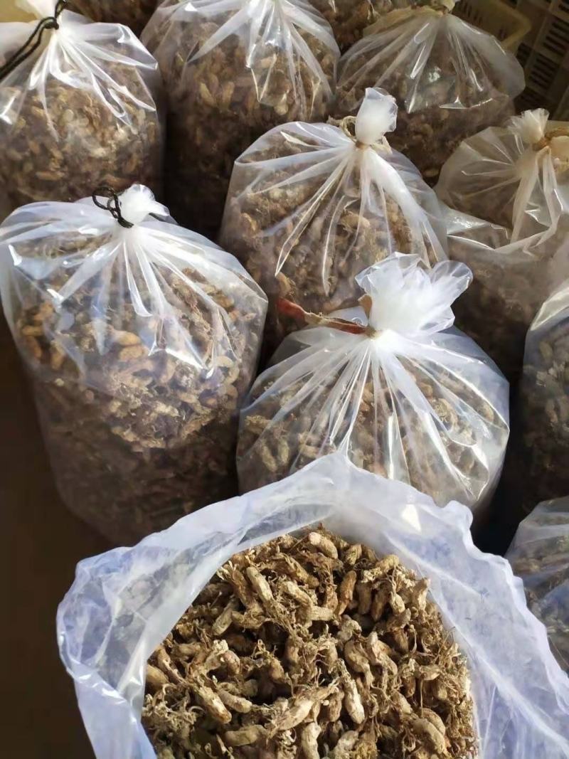 金蝉花知了花新货大别山产地野生金蝉花干货现货直发