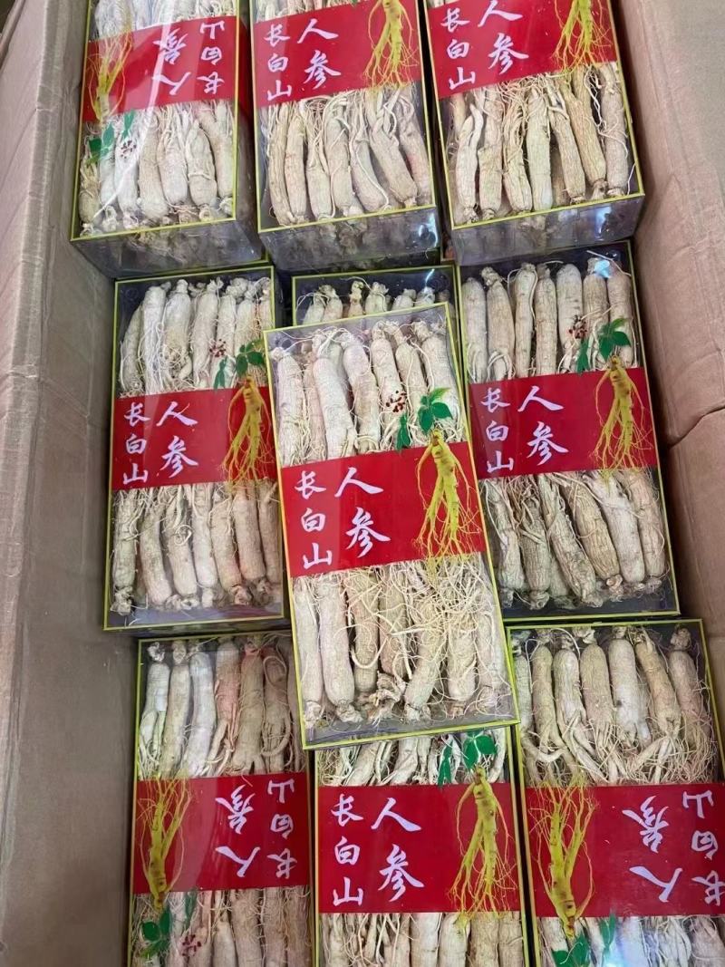 新货西洋参段整支西洋参可切片500g需要加工可以备注