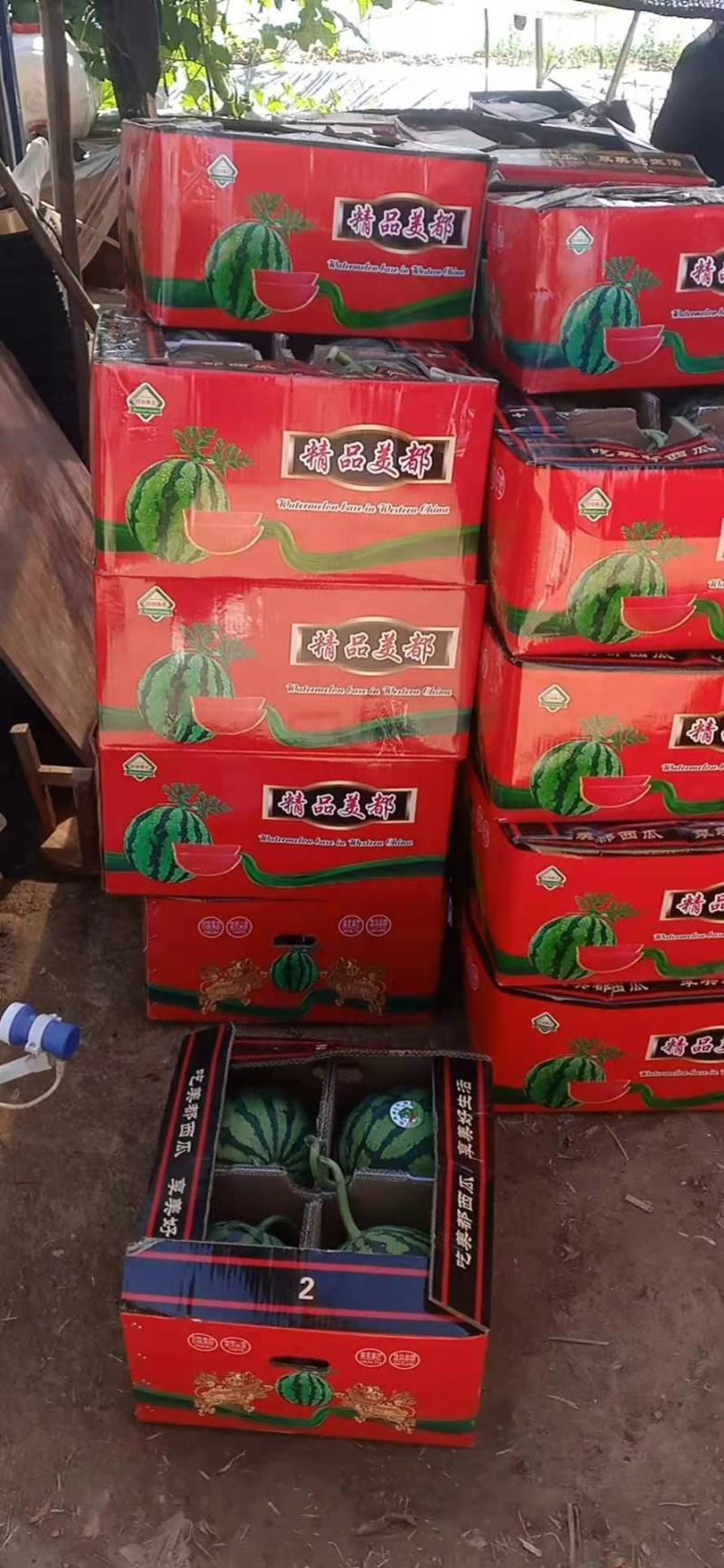 海南无仔大西瓜现场验货中，相中的老板看货给价。。。