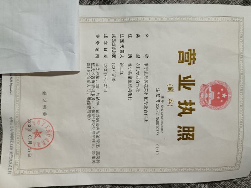 金丝搅瓜（圆瓜）