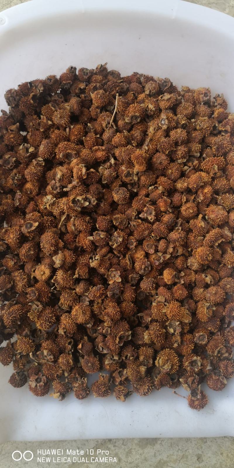 出售贵州山区的刺梨干果，刺梨鲜果！