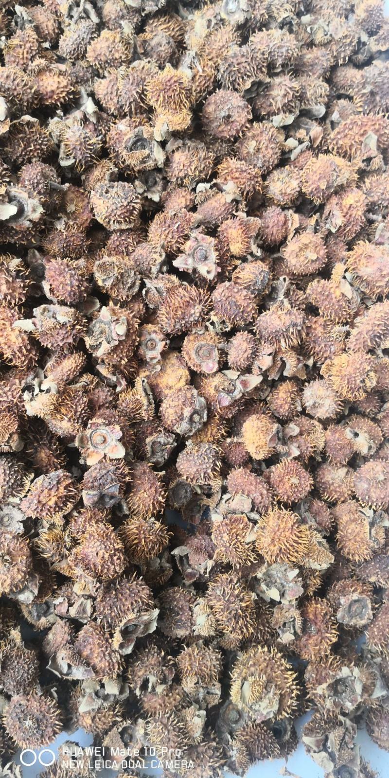 出售贵州山区的刺梨干果，刺梨鲜果！