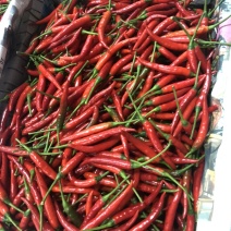 小米辣