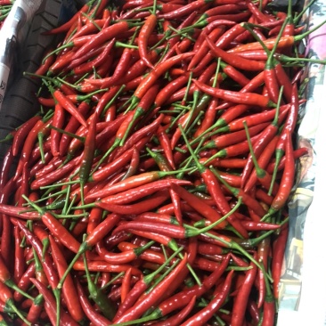 小米辣
