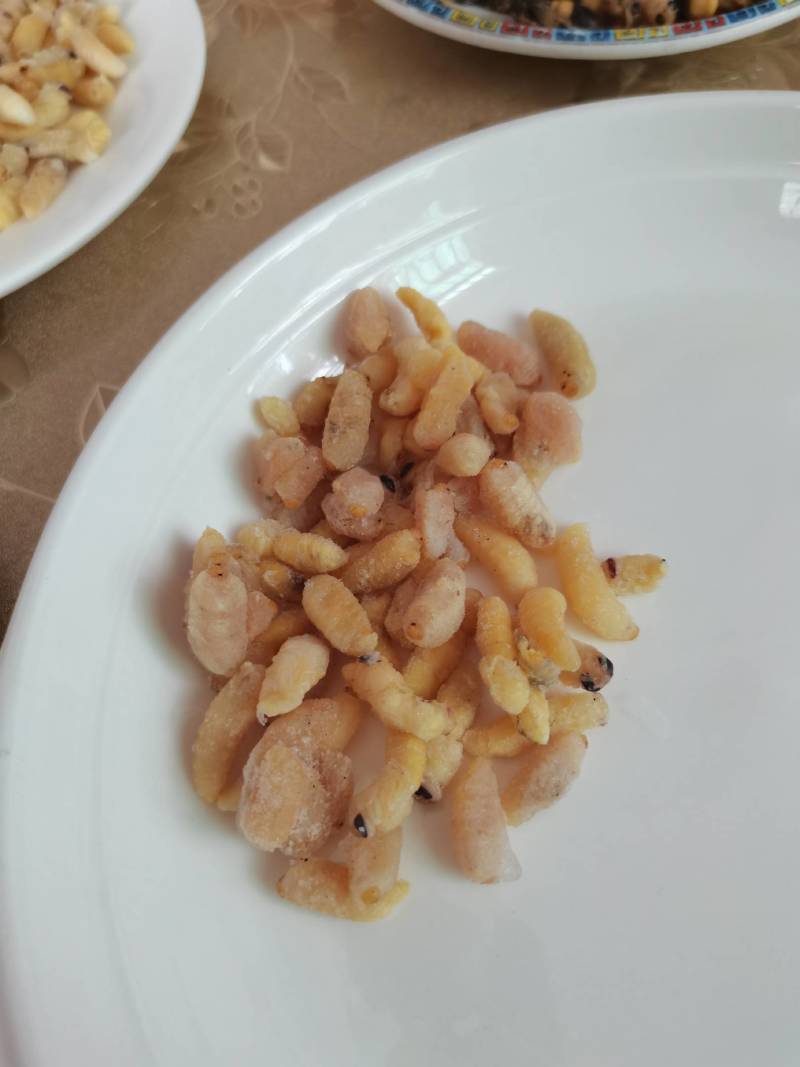 鲜货，冻货蜂蛹