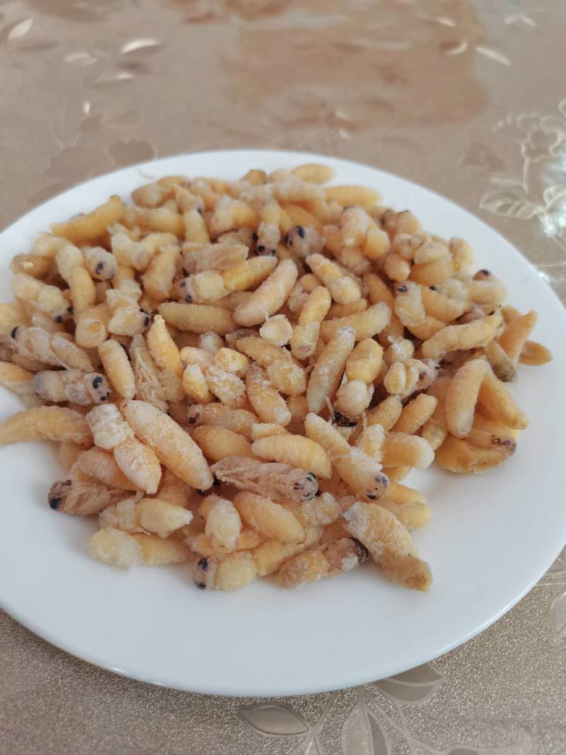 鲜货，冻货蜂蛹