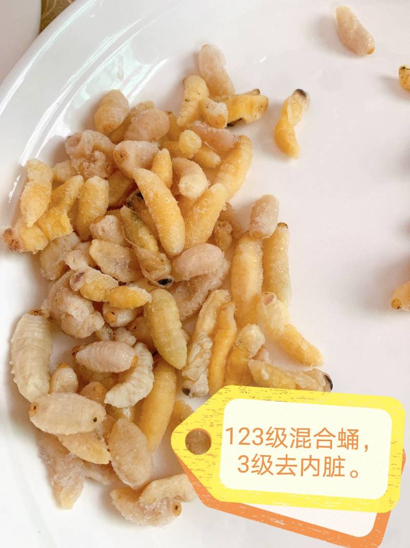 鲜货，冻货蜂蛹