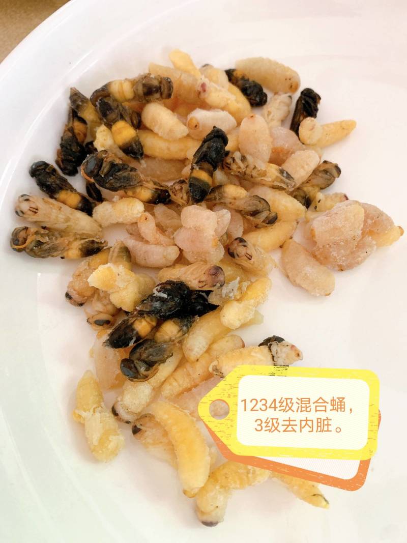 鲜货，冻货蜂蛹