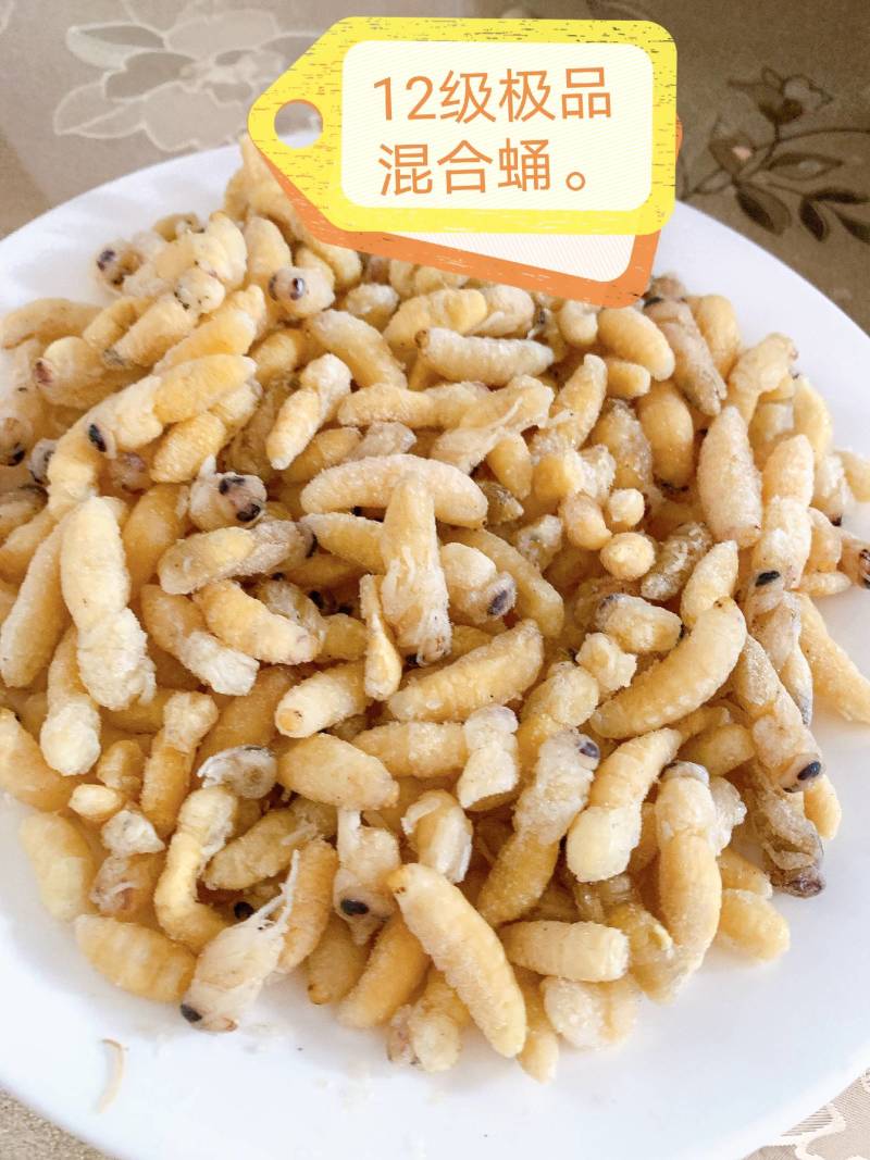 鲜货，冻货蜂蛹