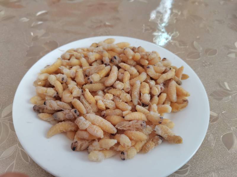 鲜货，冻货蜂蛹