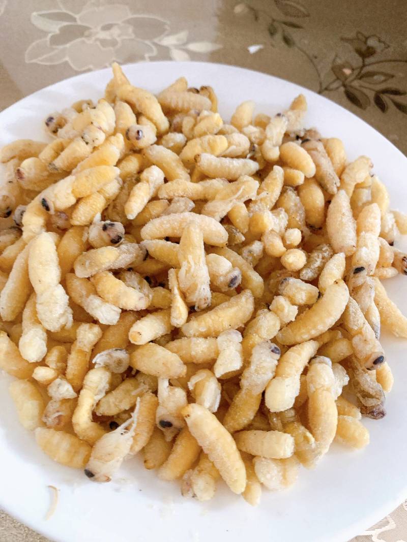 鲜货，冻货蜂蛹