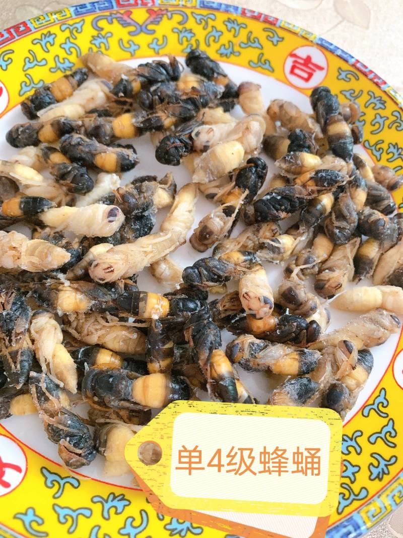 鲜货，冻货蜂蛹