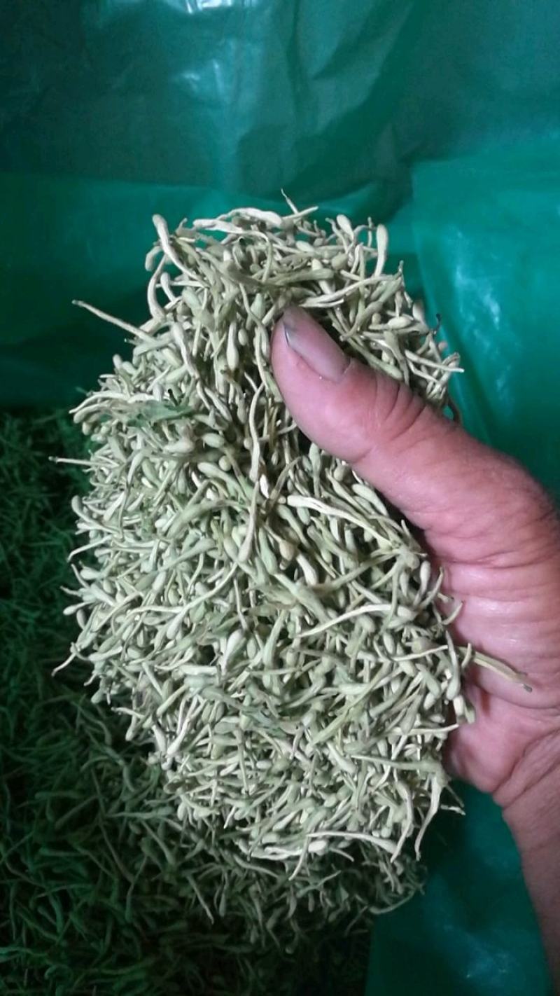河南封丘特产金银花茶礼品质量保证，价格合理