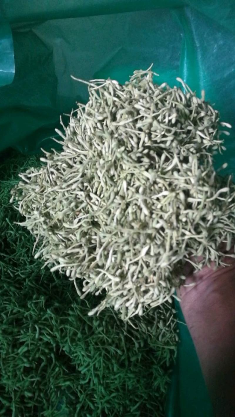 河南封丘特产金银花茶礼品质量保证，价格合理