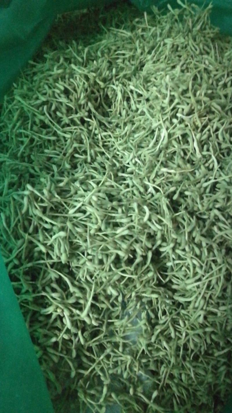 河南封丘特产金银花茶礼品质量保证，价格合理